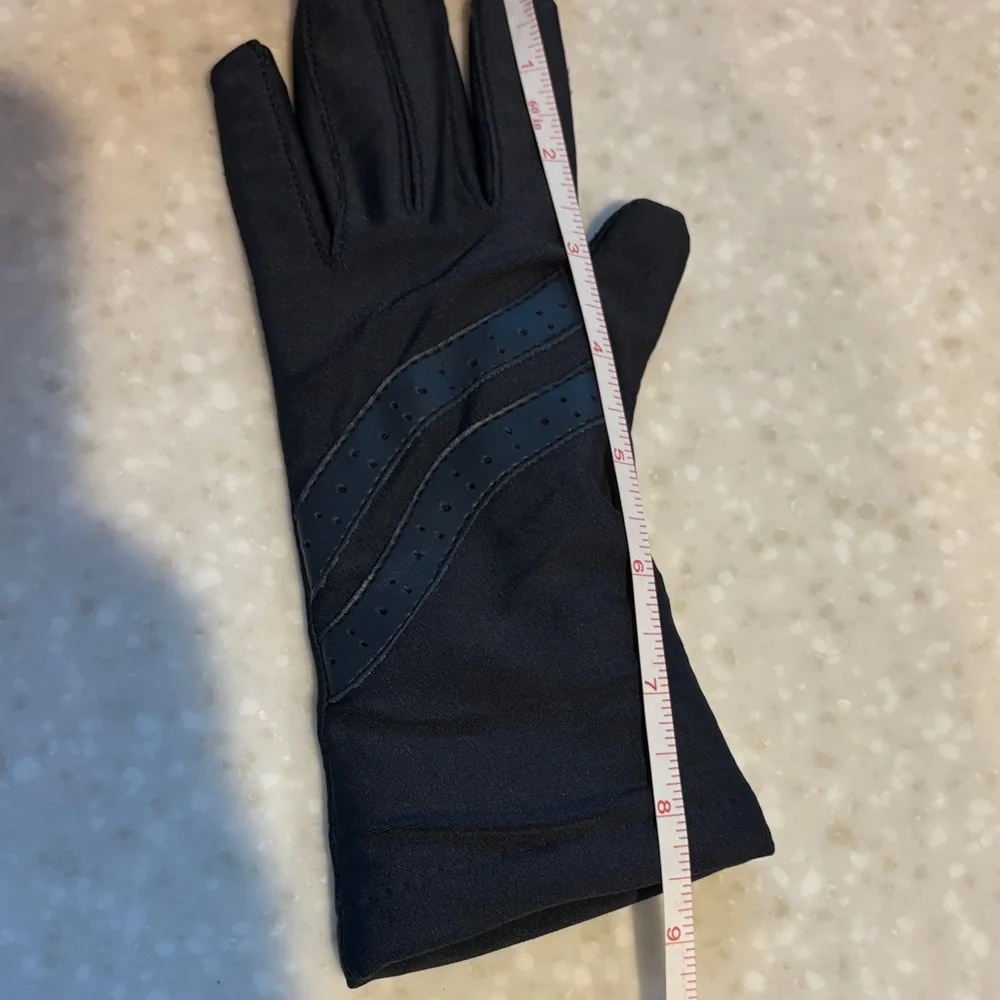 Hanes Dark Gloves with Navy Stripes do not purchase!